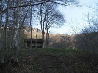 Percorrendo la dorsale nel bosco presso la baita 