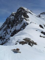 il colle Finestra con il mio compagno occasionale