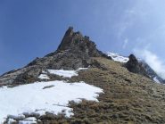 il Sigaro come si presenta oggi