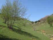 I pascoli prima del Poggio ceresa