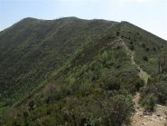 Il crinale del Pesalto che domina tutta la valle Ibà dall'alto