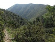 Il solco della valle Ibà e il Monte Pesalto