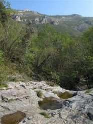 Pozze lungo il rio e dietro il crinale del Monte Acuto