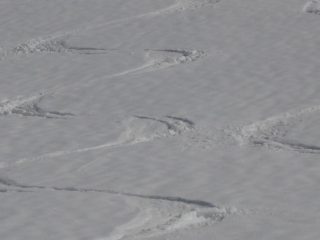 marciotta ma sciabile