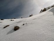 Il passo dell'asino