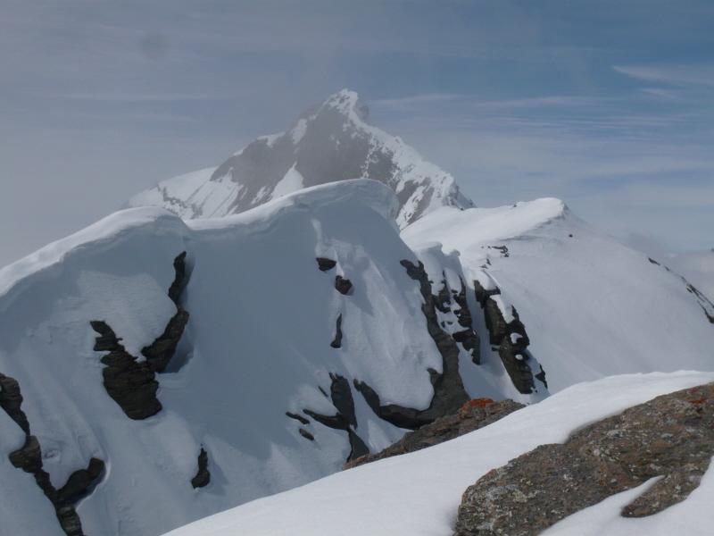 rosa dei banchi dalla punta delle fontane