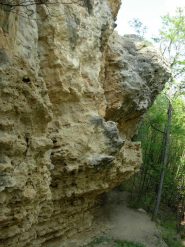 il tetto delle meningi