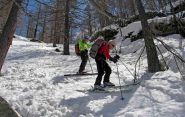 AMENITA' NEL BOSCO