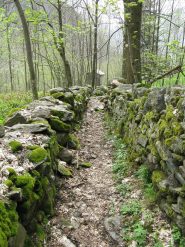 La mulattiera sopra Vasario