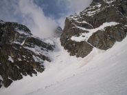 parte bassa del coulour del porco