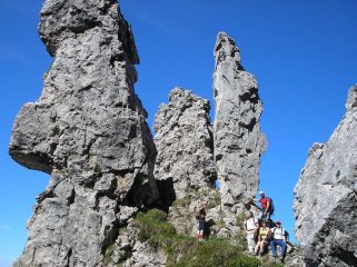 guglie del fungo  della torre e della lancia