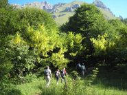 partenza dal pian dei resinelli tra una fioritura di maggiociondoli