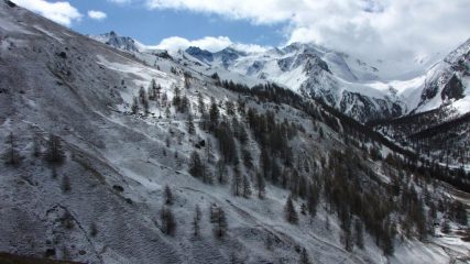 la spolverata dei giorni scorsi nel Vallon de Cristillan (8-5-2010)