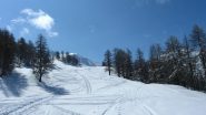 Belle le piste per gli ski-alp!!!!