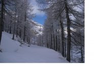 Magia della natura...