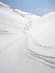 Semplicemente fantastico !!!