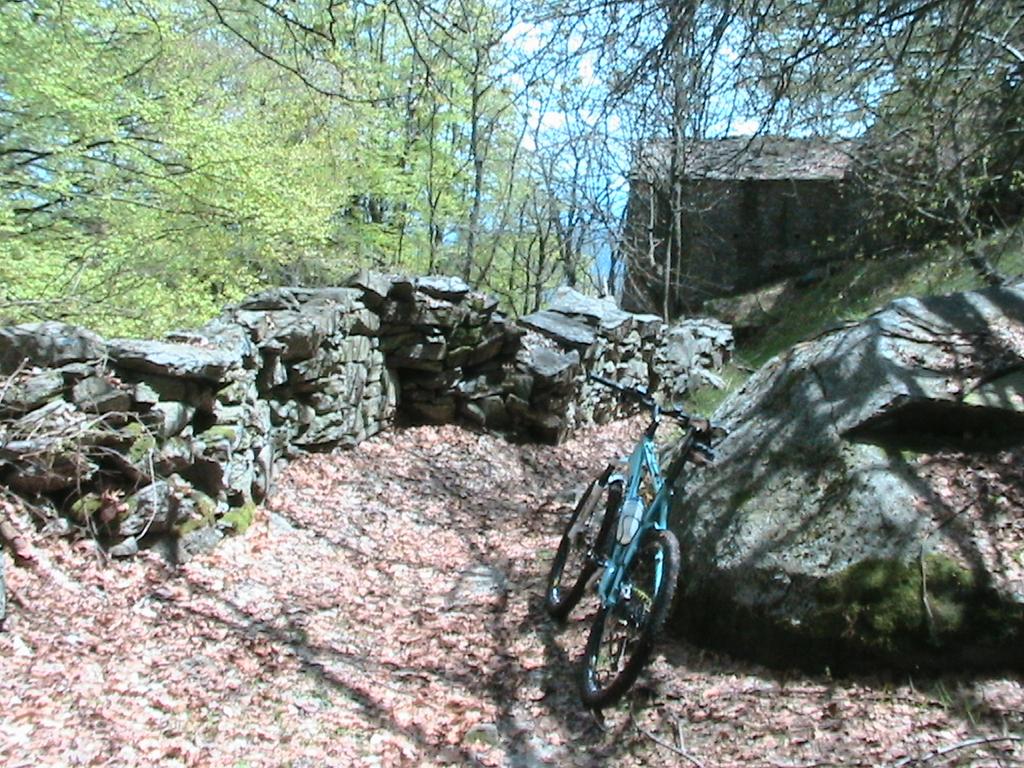 Mulattiera spettacolo