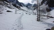 seguendo una buona traccia nel Vallone di Lourousa (16-5-2010)