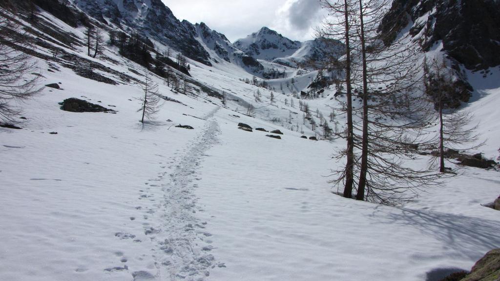 seguendo una buona traccia nel Vallone di Lourousa (16-5-2010)
