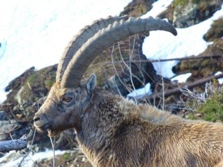 incontro verso il Valasco