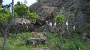 giardino2