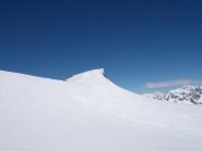 quasi in cima