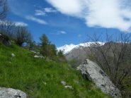 Panorama scendendo a Chiapetto