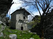Prime case di Andorina