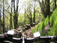 Sentiero dopo Prese delle Rose