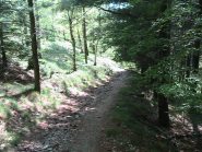 Discesa stupenda con fondo eccezionale