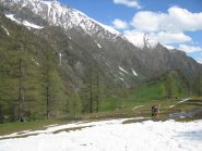 Siamo alla frutta...