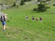 nei prati prima del Colle della Bassa