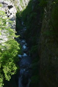 Fiume Isorno
