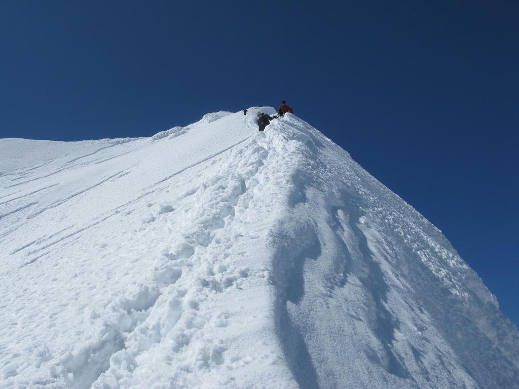 Pizo Suretta_verso la cima