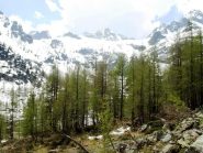 il rif. questa è ancora sommerso dalla neve