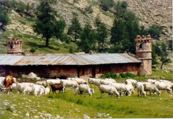 com'era nel 1992