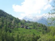 la borgata Missirola