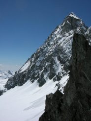 cresta della Bessanese vista dal colle