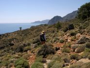 In mezzo a timo e frigana.