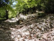 Sentiero per il Col de la Croix