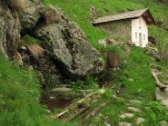 fontana e chiesetta di brenvetto