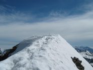 crestina finale