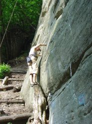 escamotage di zani...