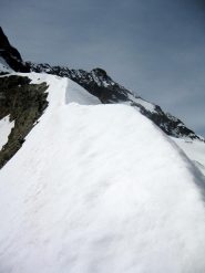 condizioni cresta