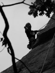 L'uomo di punta P74