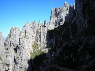 guglie pinnacoli 