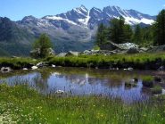 levanne allo specchio nel laghetto della cà bianca