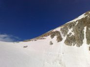 il colle fremamorta
