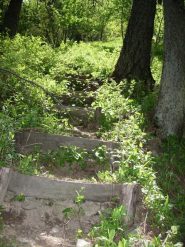 2010-06-03_1327.gradini