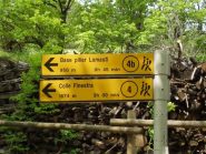 2010-06-03_1028.cartelli a machaby